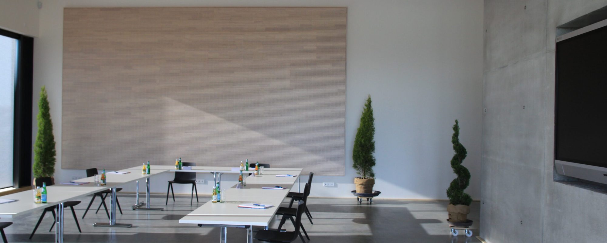 Moderner Tagungsraum im check.pointX Rottenburg am Neckar mit Tageslicht und Beamer für Seminare und Workshops.
